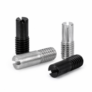 Stift ISO 2342/DIN 427